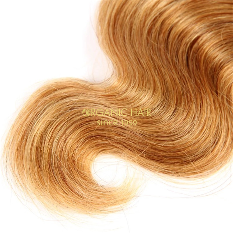 Orgainc natural hair extensions virgin hair